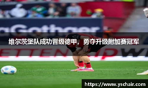维尔茨堡队成功晋级德甲，勇夺升级附加赛冠军
